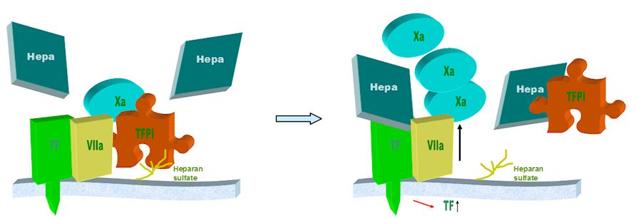 An external file that holds a picture, illustration, etc., usually as some form of binary object. The name of referred object is rmmj-3-1-e0002_Figure1.jpg